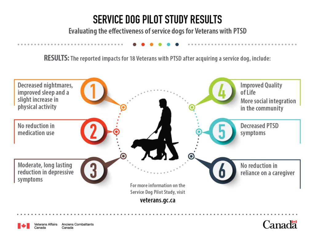 service dogs help PTSD